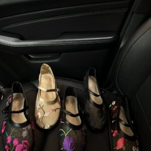 Zara Ballet Shoe